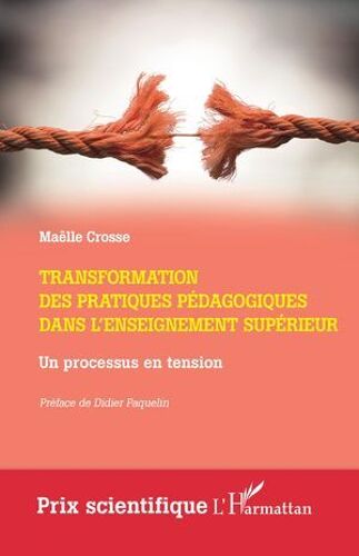 Transformation Des Pratiques Pédagogiques Dans L'enseignement Supérieur