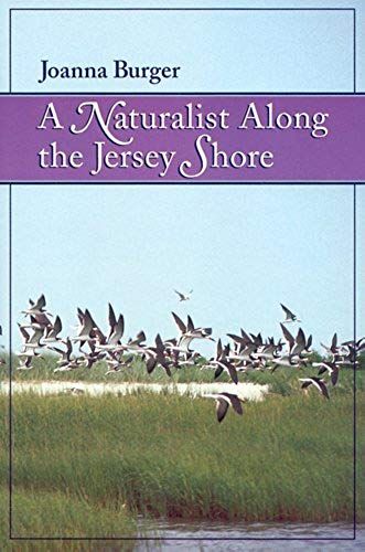 A Naturalist Along The Jersey Shore