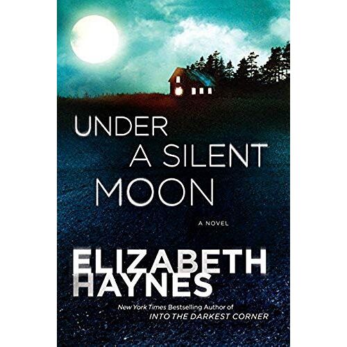 Under A Silent Moon