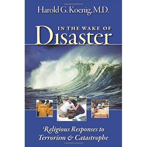 In The Wake Of Disaster