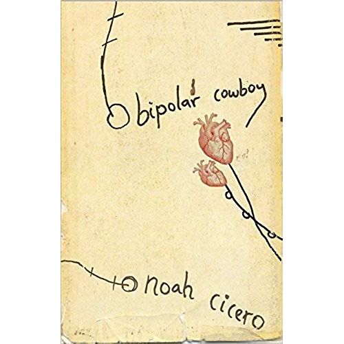 Bipolar Cowboy