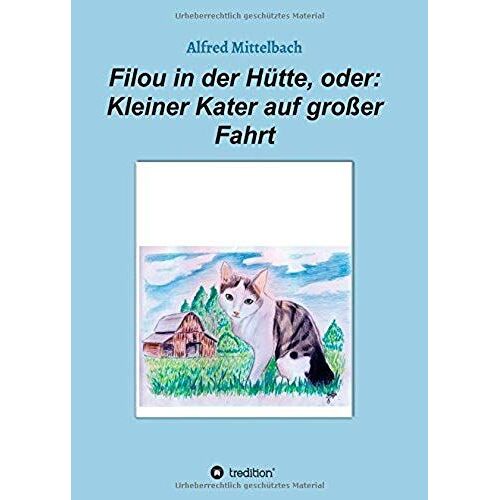 Filou In Der Hütte, Oder: Kleiner Kater Auf Großer Fahrt