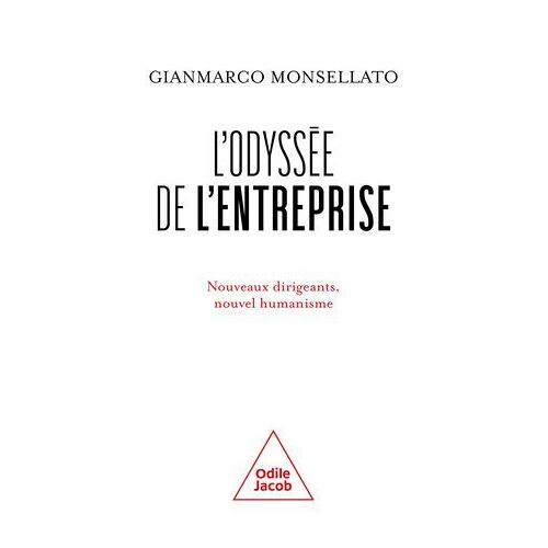 L' Odyssée De L'entreprise
