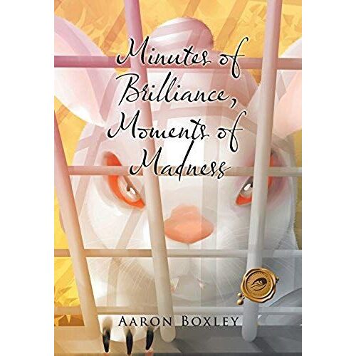 Minutes Of Brilliance, Moments Of Madness