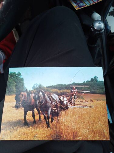 Carte Postale La Moisson