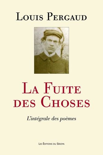 La Fuite Des Choses - L'intégrale Des Poèmes