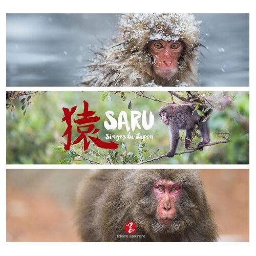 Saru - Singes Du Japon