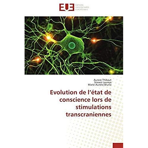Evolution De L'état De Conscience Lors De Stimulations Transcraniennes