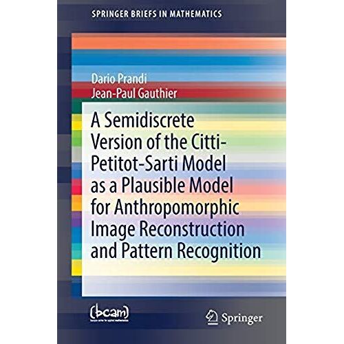 Prandi, D: Semidiscrete Version Of The Citti-Petitot-Sarti M