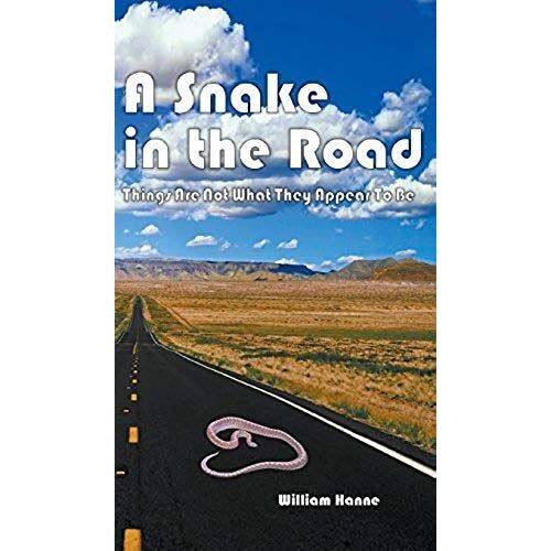 A Snake In The Road