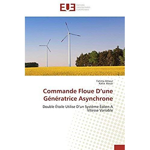 Commande Floue D'une Génératrice Asynchrone