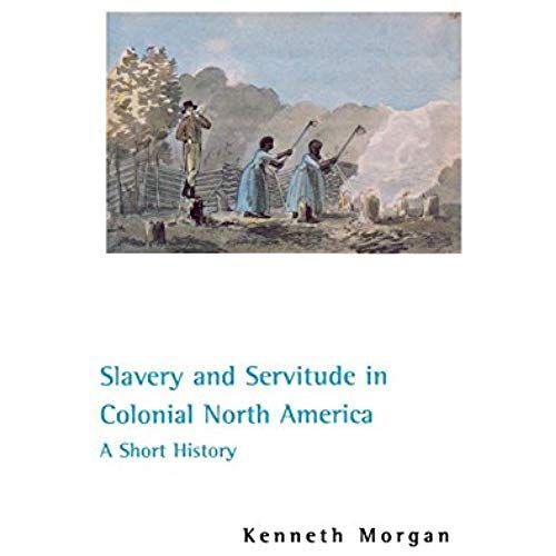 Slavery And Servitude In Colonial North America