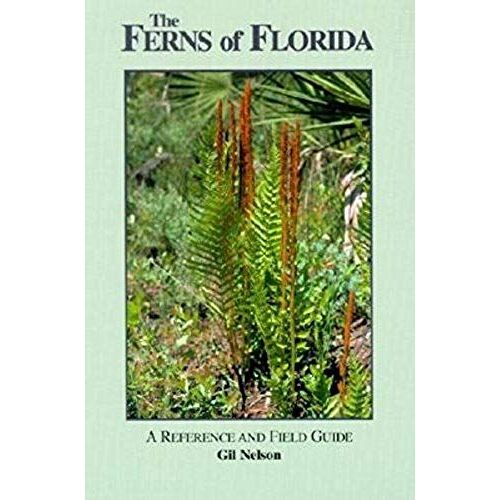 The Ferns Of Florida