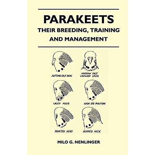 Parakeets - Their Breeding, Training And Management
