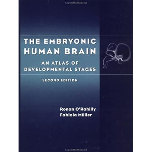The Embryonic Human Brain: An Atlas Of Developmental Stages