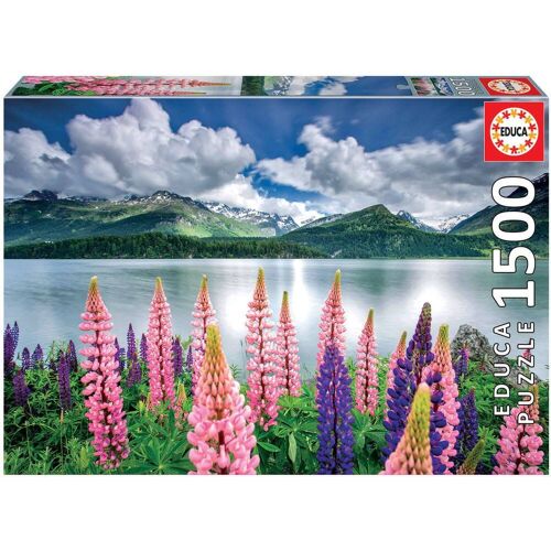 Puzzle 1500 Pieces - Lupins Sur Les Rives Du Lac De Sils - Suisse