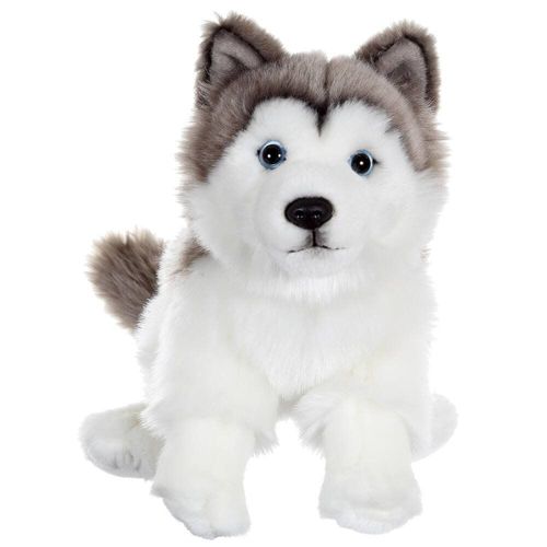 Peluche Chien Floppy Assis Husky - 25 Cm