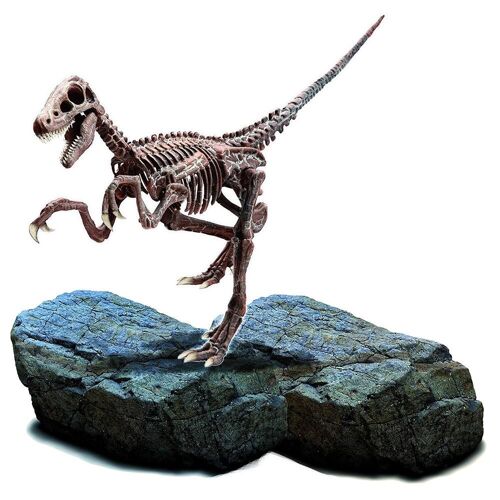 I'm À Genius : Super Kit + Velociraptor