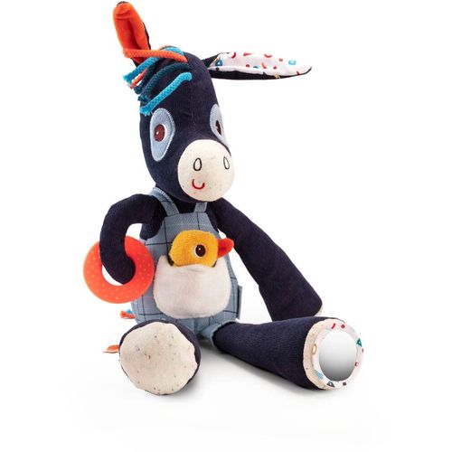 Ignace Calin d'activites