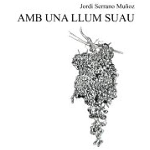 Amb Una Llum Suau