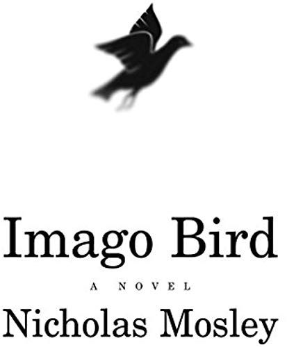 Imago Bird