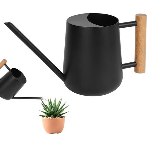 Arrosoir,35oz 1L Petit Arrosoir,Arrosoir pour Plantes à Long Bec en Acier Inoxydable,Mini Arrosoirs de Jardin pour Plantes Intérieur et Extérieur Plantes Succulentes Fleurs (Noir)