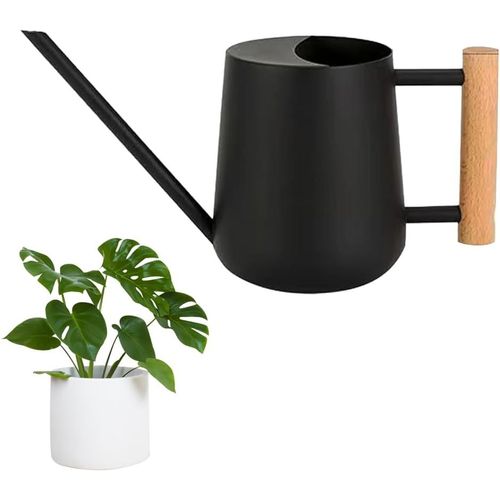 Arrosoir en Acier Inoxydable,900 ML Arrosoir Jardin Metal Petit Arrosoir à Long Bec Arrosoir Plante d'Intérieur Arrosoir Bec Fin Long Arrosoir Metal Petit Arrosoir Plante Arrosoir en Métal