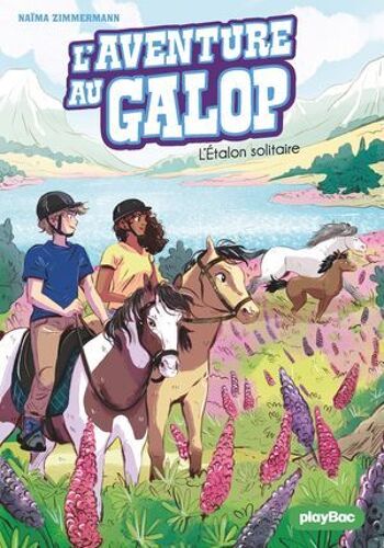 L'aventure Au Galop - L'étalon Solitaire - Tome 3