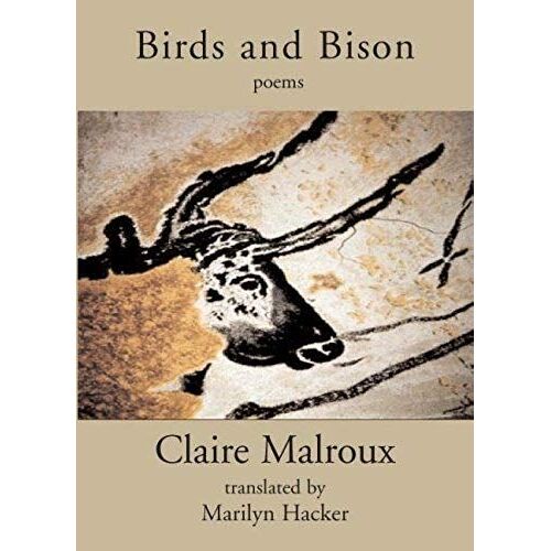 Birds And Bison
