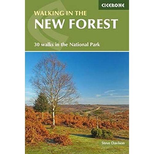 Walking In The New Forest