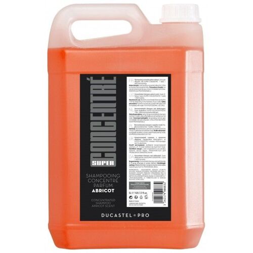 Shampooing Concentré À L'abricot Ducastel 5l 