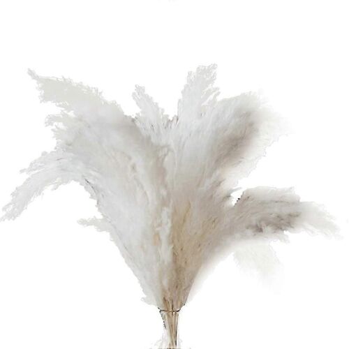 Herbe de la pampa blanche - 10 tiges de pampa d'herbe de la pampa pour mariage, maison et décoration d'événement - Dried Pam JP