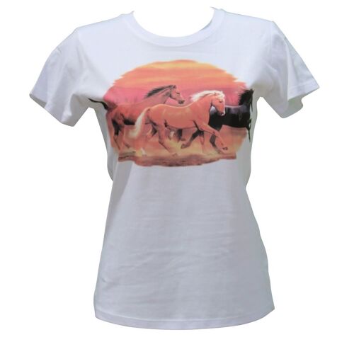 T-Shirt Femme Manches Courtes - Chevaux Solar - 6173 - Blanc