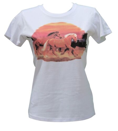 T-Shirt Femme Manches Courtes - Chevaux Solar - 6173 - Blanc