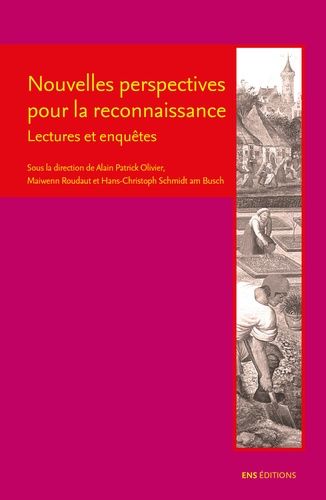 Nouvelles Perspectives Pour La Reconnaissance - Lectures Et Enquêtes
