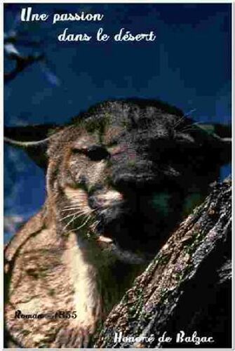Une Passion Dans Le Désert