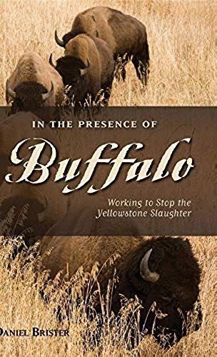 In The Presence Of Buffalo