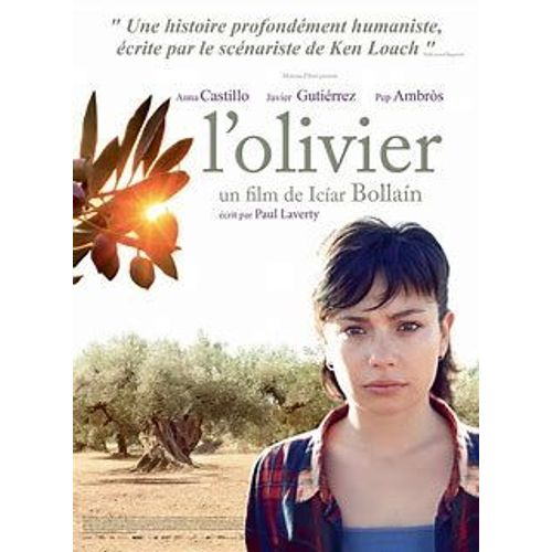Affiche De Cinéma Pliée ( 160x120cm) L' Olivier De Iciar Bollain