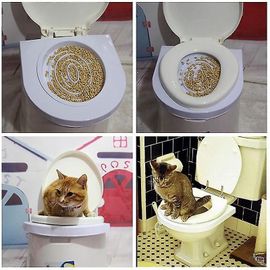 Kit D'entraînement À La Toilette Pour Chat Système De Nettoyage Kitty Pets Potty Urinoir Litière