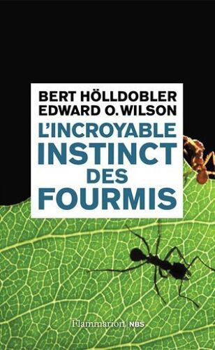 L'incroyable Instinct Des Fourmis