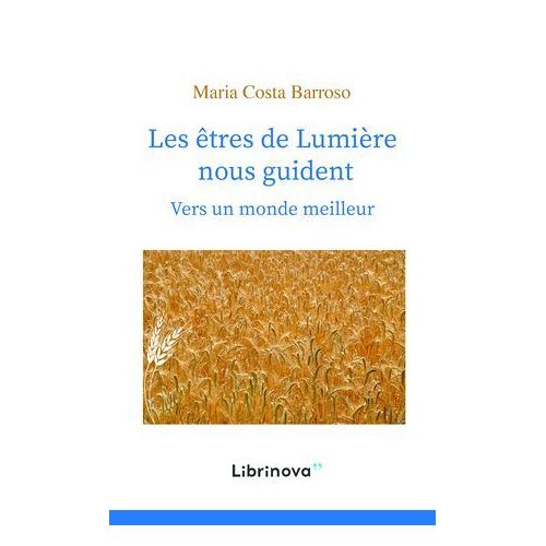 Les Êtres De Lumière Nous Guident