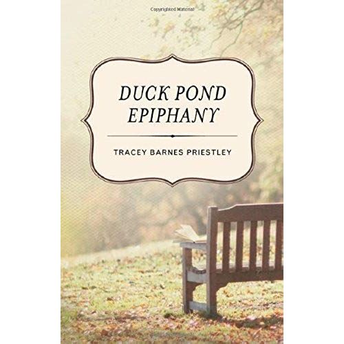 Duck Pond Epiphany