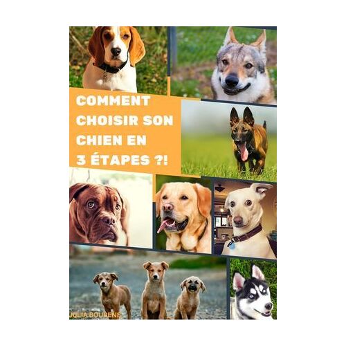Comment Choisir Son Chien En 3 Étapes