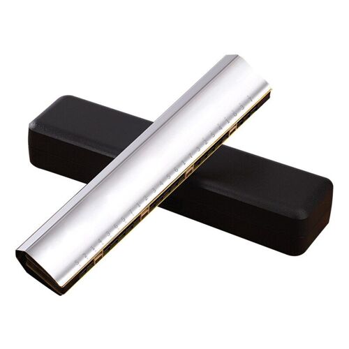 Harmonica Diatonique À Double Trémolo, Durable, Avec Étui Rigide Pour Instrument De Musique, 24 Trous