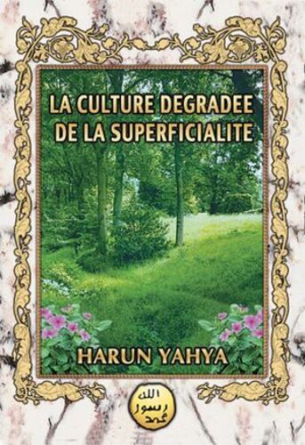 La Culture Dégradée De La Superficialité