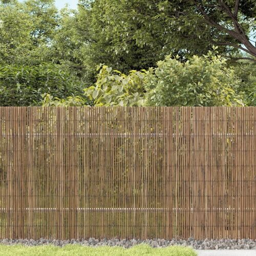 Vidaxl Clôture De Jardin 500x80 Cm Roseau
