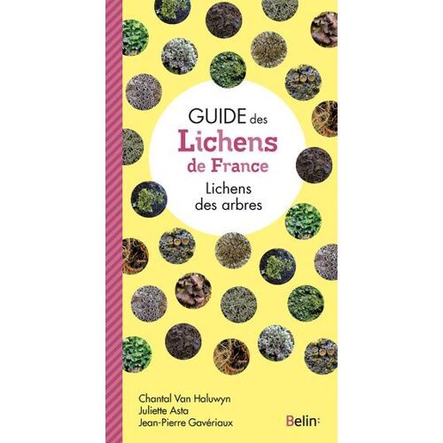 Guide Des Lichens De France - Lichens Des Arbres
