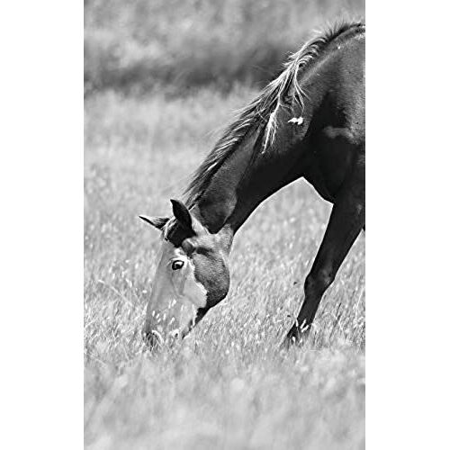 Petite Equine Journal