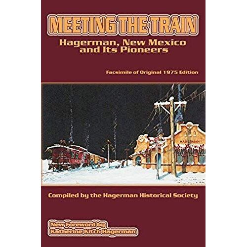 Meeting The Train
