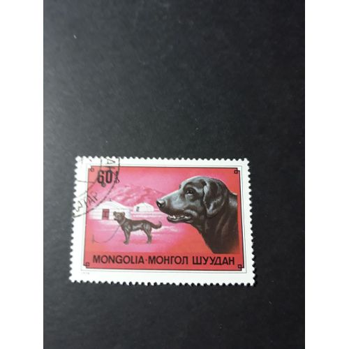 Timbre Chien Dog Mongolie Tp8